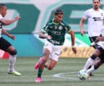 Botafogo e Palmeiras reduzem chances de título no Brasileirão; Grêmio dispara