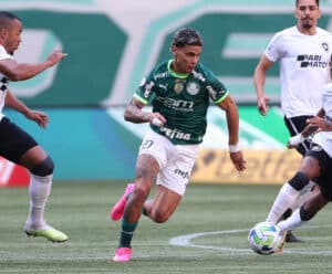 Palmeiras desperdiça pênalti, tem gol anulado e perde para o Botafogo Palmeiras e Botafogo