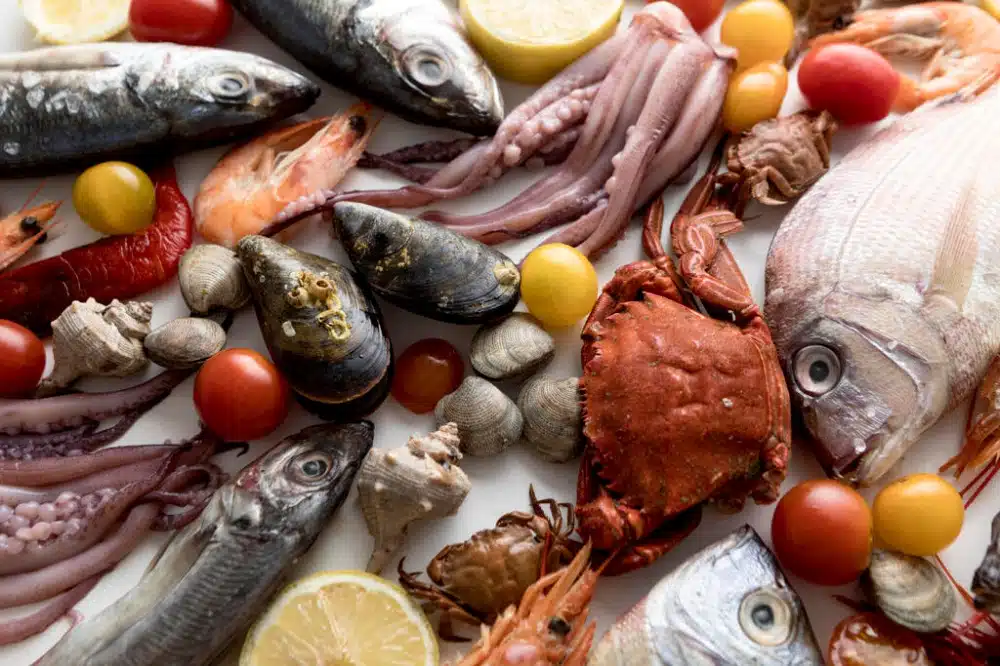 Imagem com diferentes pescados e frutos do mar | Foto: Freepik Imagem com diferentes pescados e frutos do mar | Foto: Freepik
