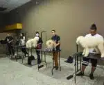 Maior feira pet do Espírito Santo trará muitas novidades para pets