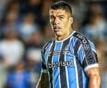 Suárez pode desfalcar Grêmio contra o São Paulo