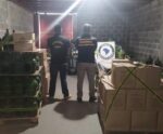 Ministério da Agricultura apreende 41 mil litros de vinho em situação irregular