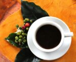 Seu cafezinho pode vir de plantas do seu quintal, jardim ou chácara