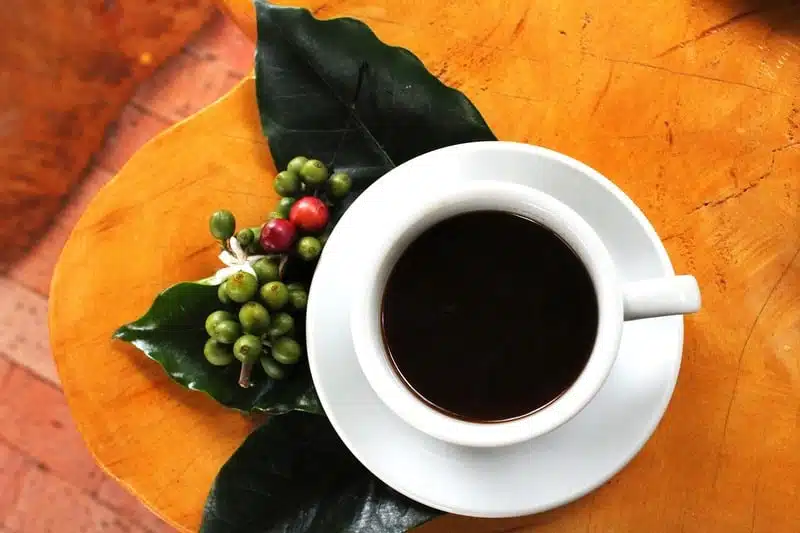 Uma xicara de café de louça branca, vista de cima