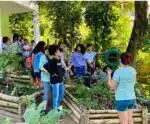 Estudantes capixabas aprendem sobre sustentabilidade em aula especial