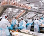 Frigorífico do ES é obrigado a doar 10 toneladas de carne de frango