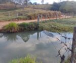 Idoso morre ao cair com carro em córrego no Sul do Estado