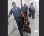 MP apresenta denúncia contra homem amarrado com cordas, após furto
