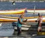 Marataízes: pescadores recebem orientações sobre direitos da categoria