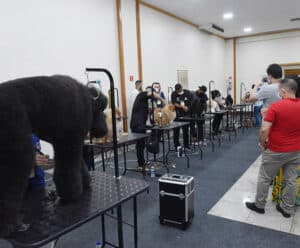 Pet Fair ES terá atrações para animais de estimação e tutores Pet Fair ES
