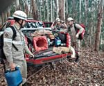 Homens ficam presos a 120 metros de altura ao tentar salvar cães em Irupi