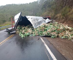 Caminhão carregado com repolho tomba e interdita parte da BR-262 Acidente com carga de repolho 262