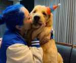 ‘Chá de filhotes’ para cachorro? Influencer inova com evento para Golden