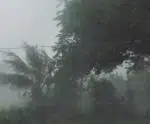 Ciclone deixa SP e outros estados em alerta para chuvas e ventos de até 100 km/h