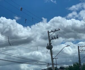 pipas agarradas em fiação da rede elétrica pública