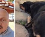 Envenenamento de animais preocupa projeto de proteção