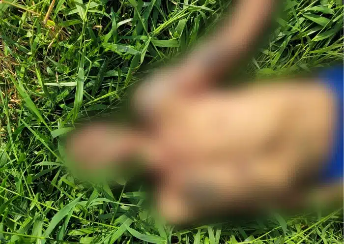 Homem morre ao quebrar pescoço após pular em rio em Itapemirim