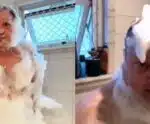 Após dizer que não toma banho, Jacquin posta vídeo no chuveiro