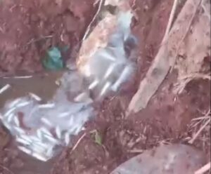 Traficante dispensa droga no vaso sanitário para escapar da PM, mas acaba preso em Cachoeiro