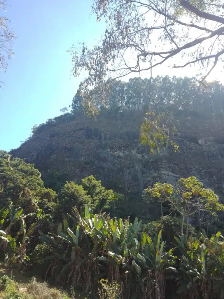 Filhotes são resgatados após ficarem presos em penhasco de 150 metros em Irupi