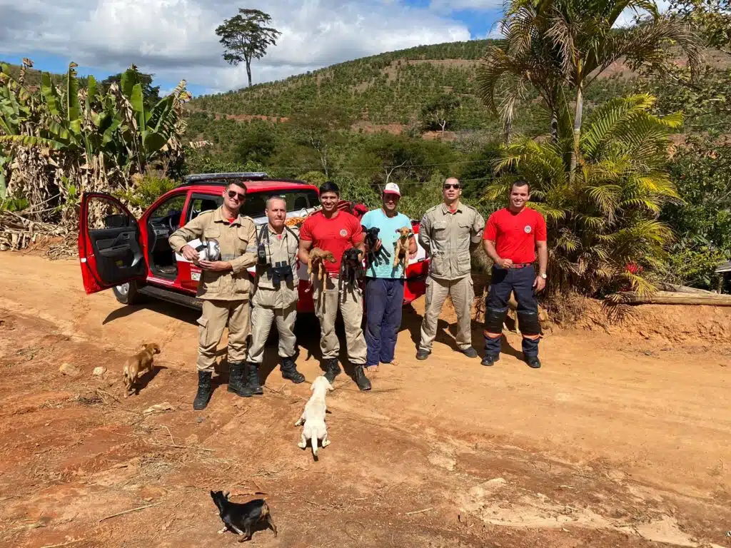 Filhotes são resgatados após ficarem presos em penhasco de 150 metros em Irupi