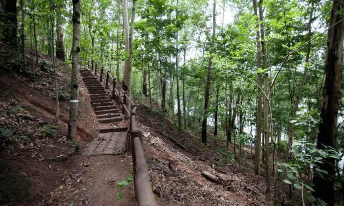Parque Botânico Vale Vitória