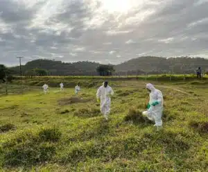 Presidente Kennedy realiza trabalho de prevenção contra a febre maculosa Presidente Kennedy febre maculosa