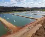 Projeto pioneiro de piscicultura será inaugurado no Espírito Santo