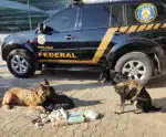 PRF prende homem com 6kg de drogas em ônibus interestadual no ES