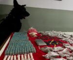 Militares apreendem drogas com auxílio de cão farejador na região Serrana