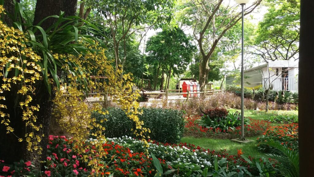 Parque Botânico Vale Vitória