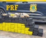 PRF apreende mais de 95 kg de maconha na BR-101 no ES