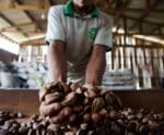 Assembleia do ES cria projeto com foco em arranjos produtivos sustentáveis
