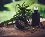 STJ autoriza três pacientes a cultivarem cannabis para fins medicinais