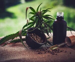 STJ autoriza três pacientes a cultivarem cannabis para fins medicinais óleo de canabis, canabidiol, cbd, maconha