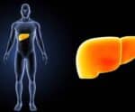 Hepatites Virais: Sudeste detém maiores proporções dos vírus B e C