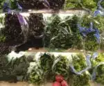 Frio influencia preços de frutas e hortaliças no atacado