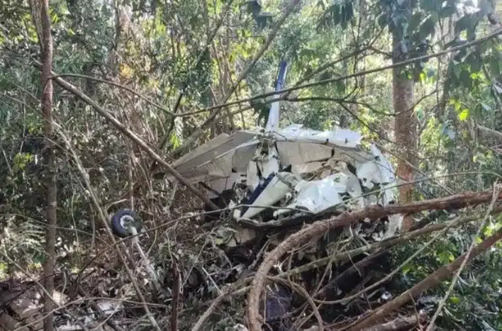 pai e filho morrem em acidente de avião 1