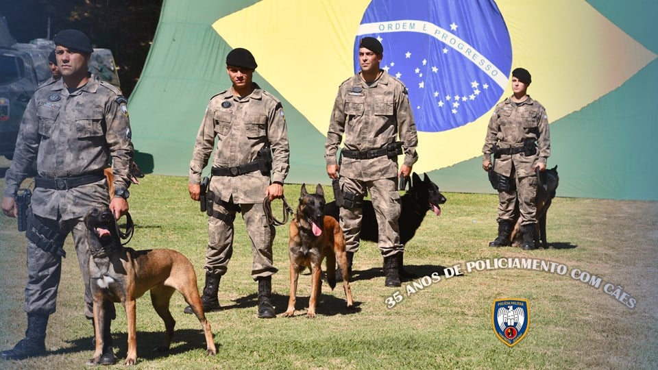Após 11 anos de serviço à PM, cão farejador se aposenta no Espírito Santo