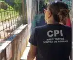 VÍDEO | CPI fiscaliza zoológico onde onça abocanhou filhote no ES