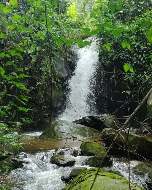 As cachoeiras são outras atrativos de Anchieta