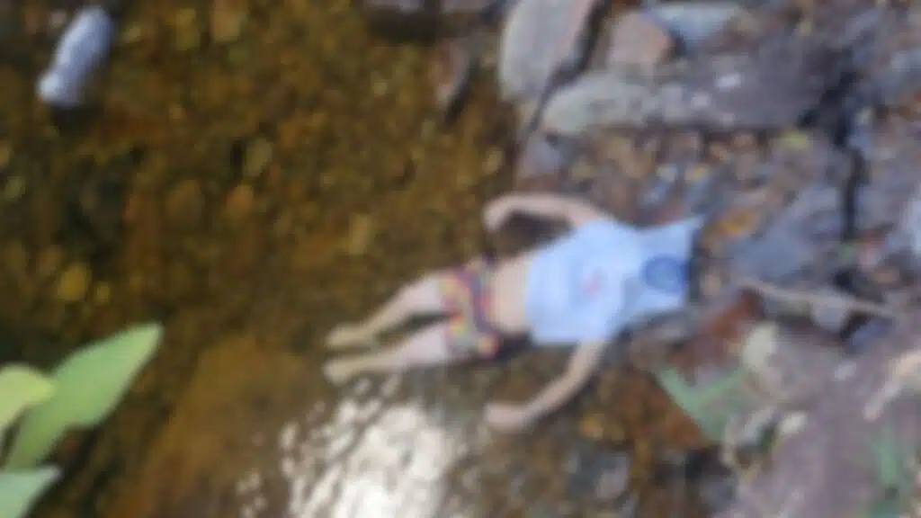 Jovem morre afogado em cachoeira na zona rural de Divino de São Lourenço