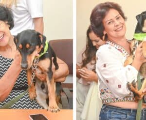 Pets: Vitória terá Centro Permanente de Adoção de Animais Vitória terá Centro Permanente de Adoção de Animais