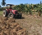 Projetos da agricultura familiar poderão ser contemplados com equipamentos