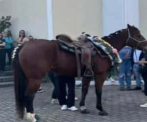 Menina morre após cair de égua e família leva animal para se despedir