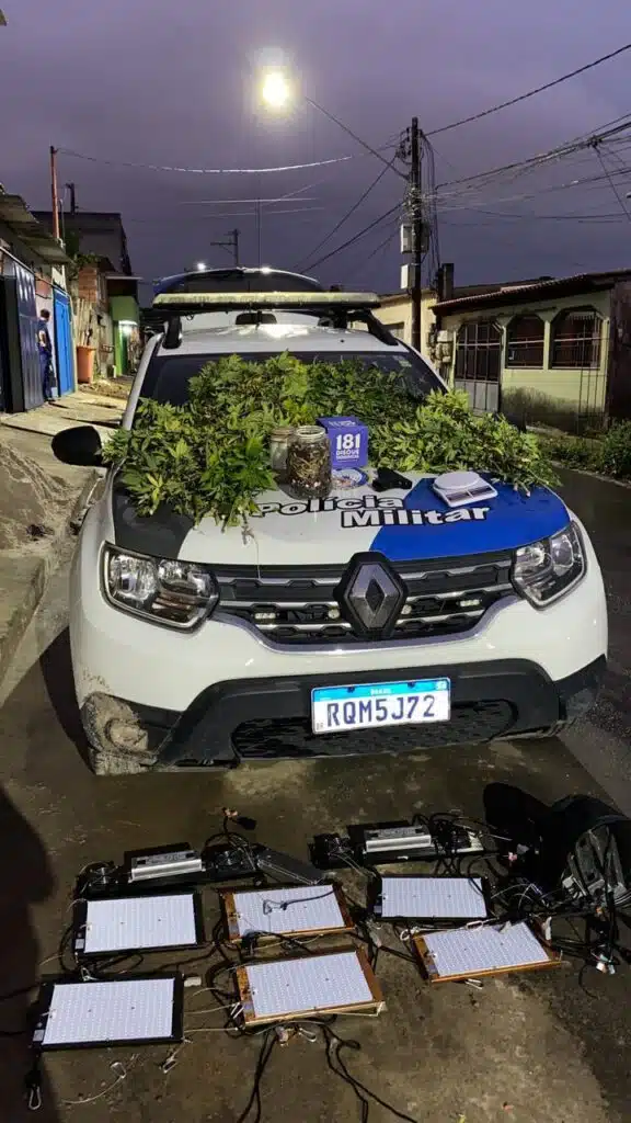 Polícia descobre laboratório de cultivo de maconha após denúncia anônima no ES