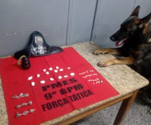 Cão policial localiza drogas em ponto de tráfico do bairro Valão em Cachoeiro Cão policial localiza drogas em ponto de tráfico do bairro Valão em Cachoeiro