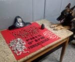 PM apreende drogas em matagal após denúncia anônima em Cachoeiro