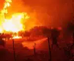 Grécia encontra 18 corpos carbonizados em meio a incêndios no país