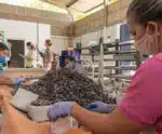 Proposta fomenta pesca e atividade de marisqueiras no ES